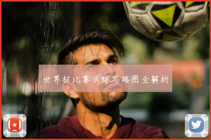 世界杯比赛买球思路图全解析