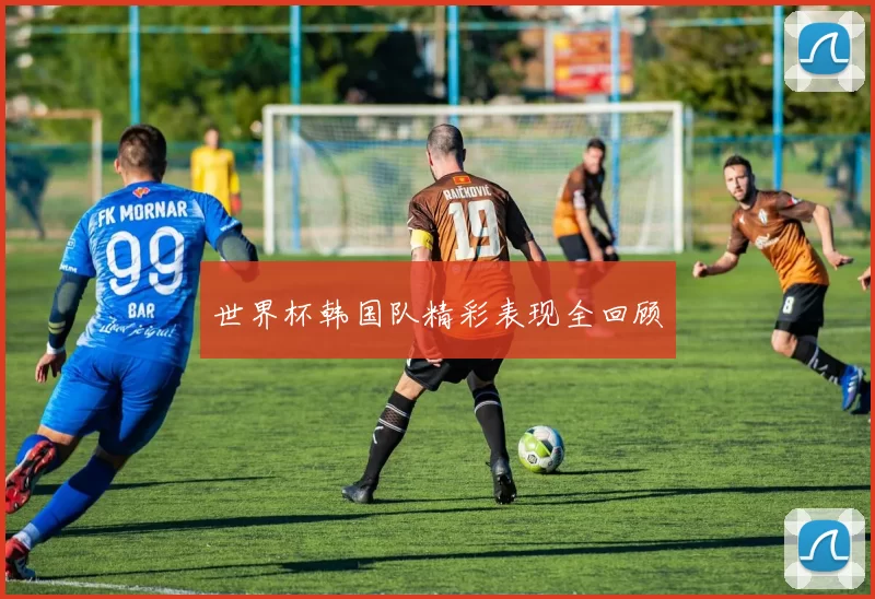 世界杯韩国队精彩表现全回顾