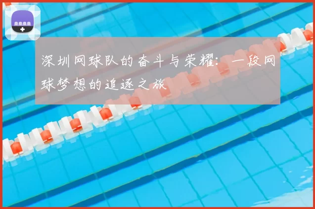 深圳网球队的奋斗与荣耀：一段网球梦想的追逐之旅
