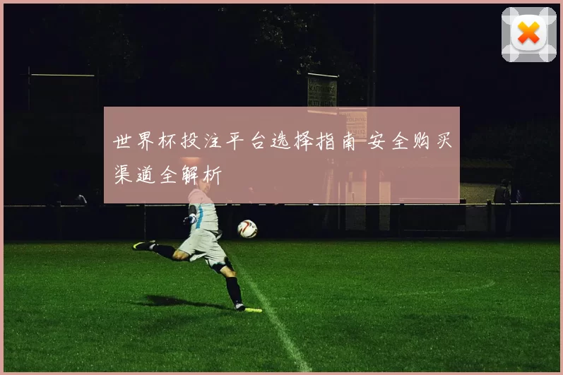 世界杯投注平台选择指南 安全购买渠道全解析