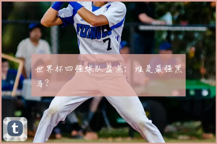 世界杯四强球队盘点：谁是最强黑马？