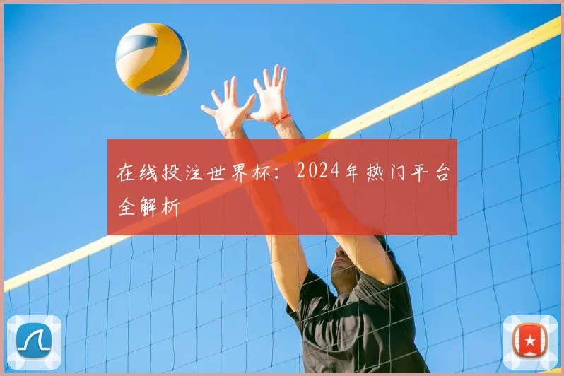 在线投注世界杯：2024年热门平台全解析