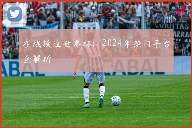在线投注世界杯:2024年热门平台全解析