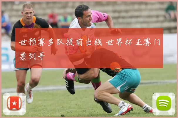 世预赛多队提前出线 世界杯正赛门票到手