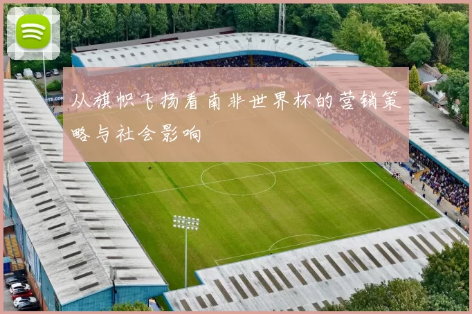 从旗帜飞扬看南非世界杯的营销策略与社会影响