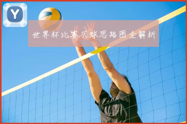 世界杯比赛买球思路图全解析